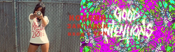 прущая мука Корсаков