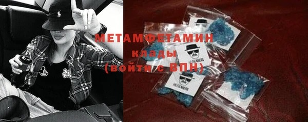 прущие грибы Краснотурьинск