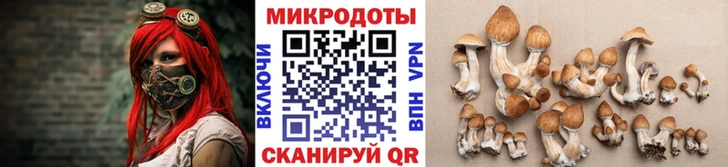 Галлюциногенные грибы прущие грибы  Макарьев 